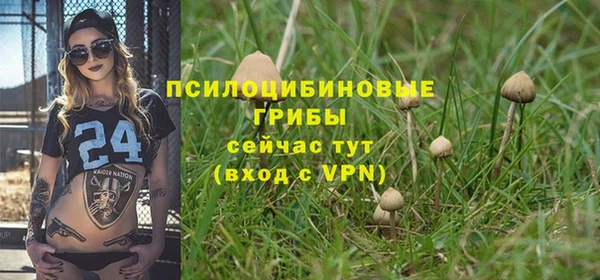 гидра Арсеньев