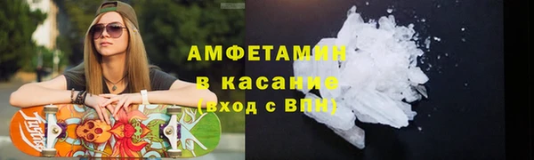 гидра Арсеньев