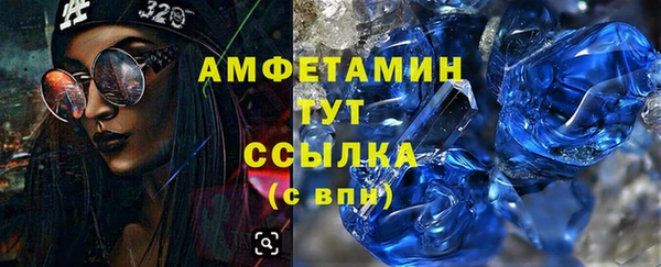 гидра Арсеньев